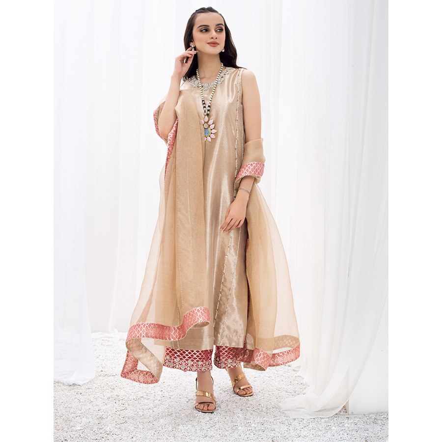 Pakistani Dull Gold Gota Tukri Pure Tissue Salwar Kameez (3-Piece) - Image 3