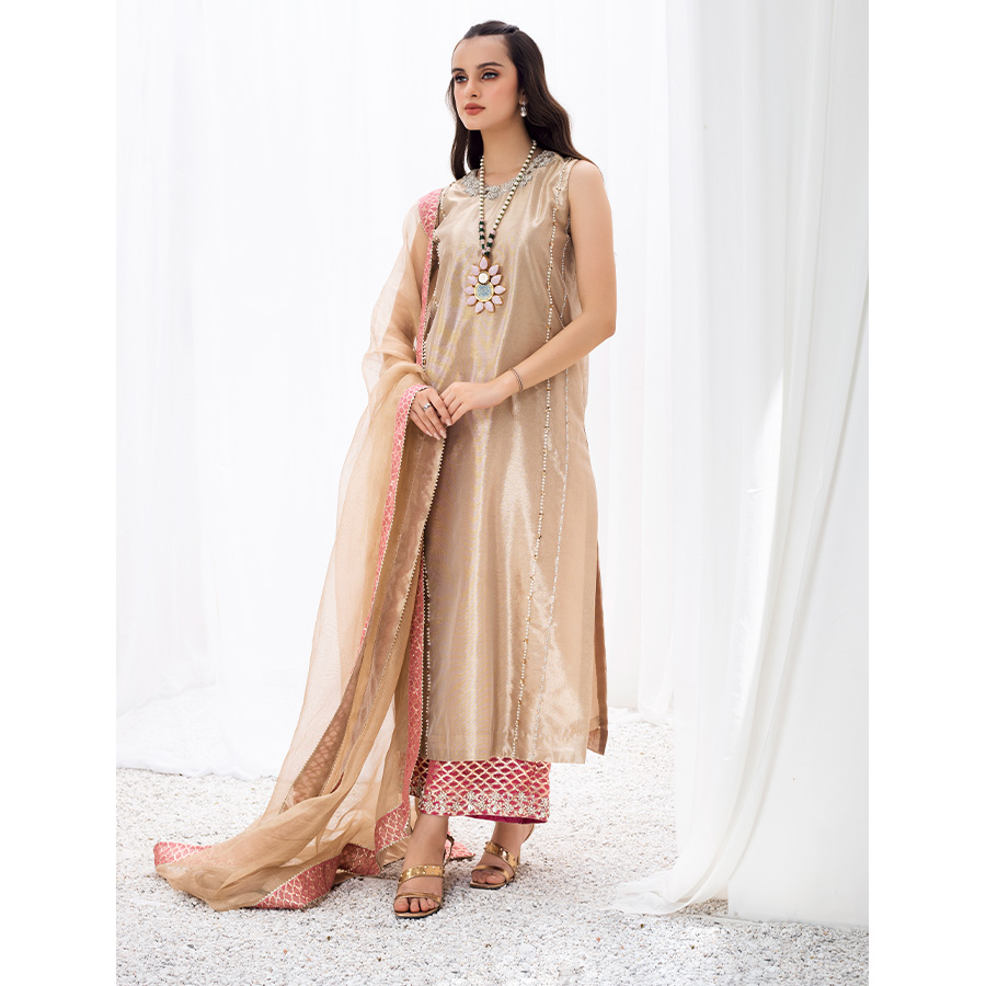 Pakistani Dull Gold Gota Tukri Pure Tissue Salwar Kameez (3-Piece) - Image 6