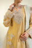 Pakistani Bright Gold Embellished Pure Tissue Kameez (3-Piece) - Image 14