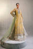Pakistani Bright Gold Embellished Pure Tissue Kameez (3-Piece) - Image 7