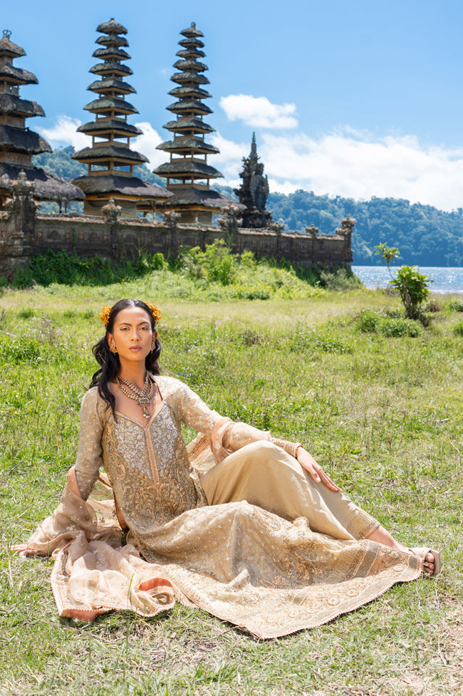 Antique Gold Embroidered Cotton-Net & Raw Silk Salwar Kameez (3-Piece) - Image 6