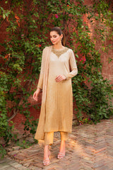 Pakistani Champagne Gold Sequinned Net Salwar Kameez (3-Piece) - Image 3