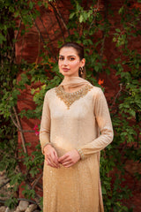 Pakistani Champagne Gold Sequinned Net Salwar Kameez (3-Piece) - Image 4