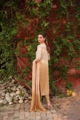 Pakistani Champagne Gold Sequinned Net Salwar Kameez (3-Piece) - Image 5