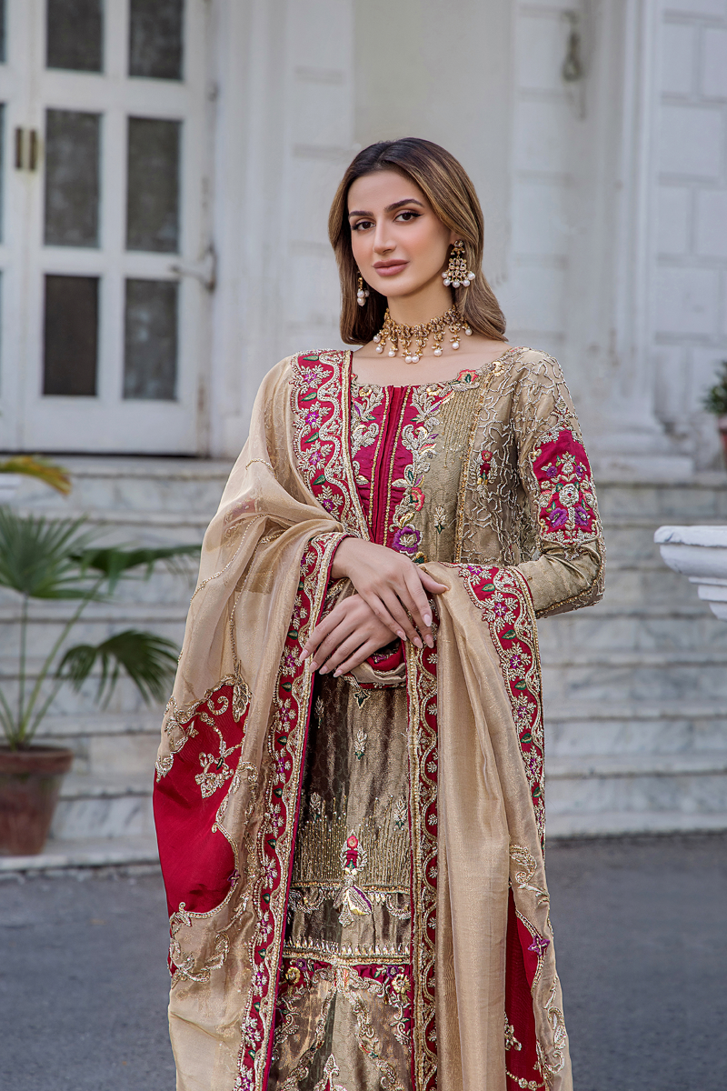 Champagne and Crimson Embroidered Silk-Blend Salwar Kameez (3-Piece) - Image 1