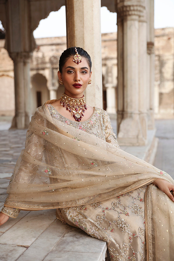 Pakistani Champagne Embroidered Tissue Salwar Kameez (3-Piece) - Image 2