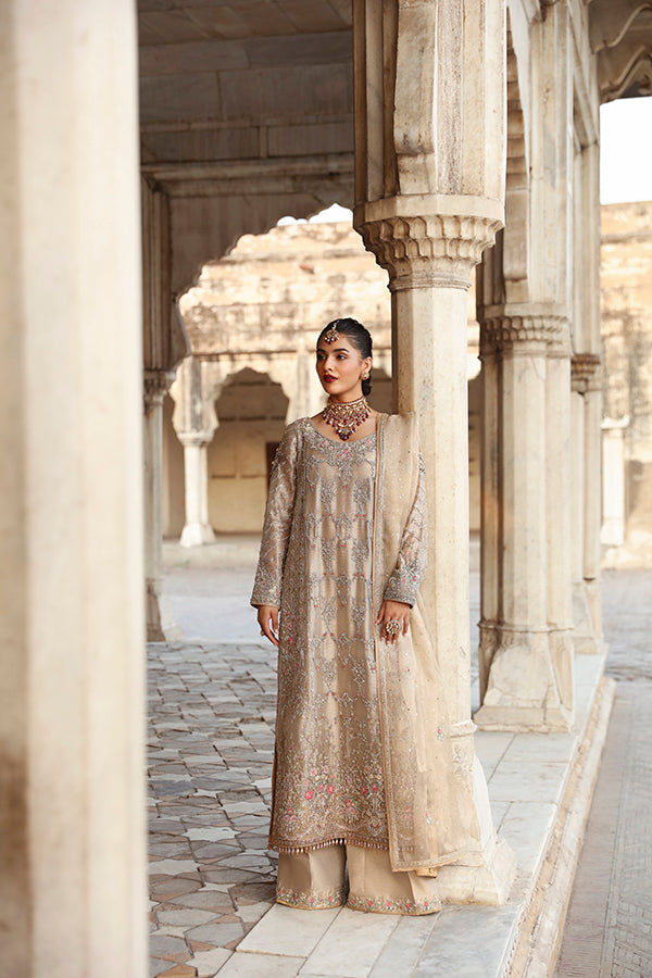 Pakistani Champagne Embroidered Tissue Salwar Kameez (3-Piece) - Image 7