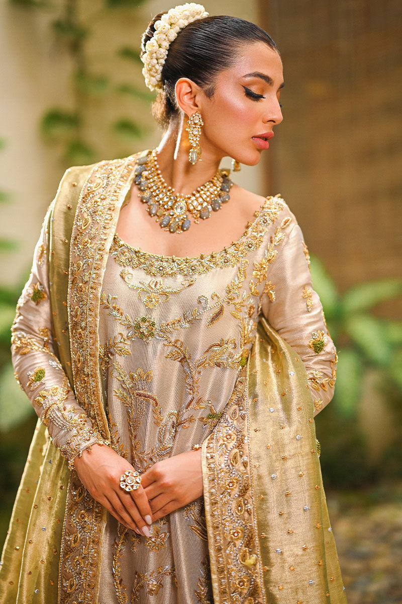 Pakistani Gold Zari Net Tissue-Silk Bridal Shirt (3-Piece) - Image 2