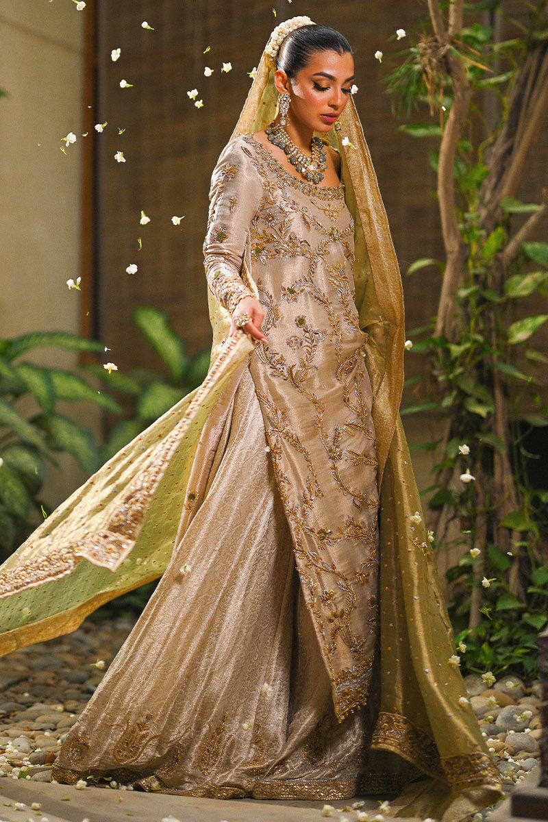Pakistani Gold Zari Net Tissue-Silk Bridal Shirt (3-Piece) - Image 9