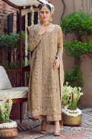 Golden Handworked Tissue Salwar Kameez (3-Piece) - Image 2