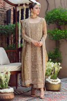 Golden Handworked Tissue Salwar Kameez (3-Piece) - Image 3