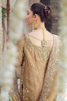 Golden Handworked Tissue Salwar Kameez (3-Piece) - Image 4