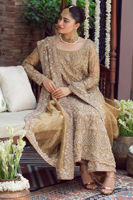 Golden Handworked Tissue Salwar Kameez (3-Piece) - Image 6