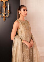 Gold Zardozi Tissue & Velvet Salwar Kameez (3-Piece) - Image 5