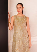 Gold Zardozi Tissue & Velvet Salwar Kameez (3-Piece) - Image 6