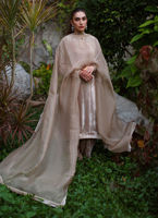 Pakistani Champagne Swarovski Velvet Salwar Kameez (3-Piece) - Image 3