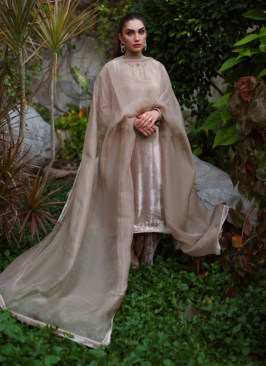 Pakistani Champagne Swarovski Velvet Salwar Kameez (3-Piece) - Image 7