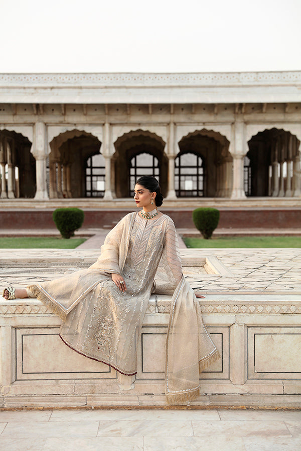 Pakistani Champagne Zari Net Salwar Kameez (3-Piece) - Image 2