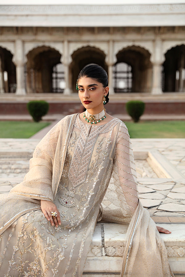 Pakistani Champagne Zari Net Salwar Kameez (3-Piece) - Image 4