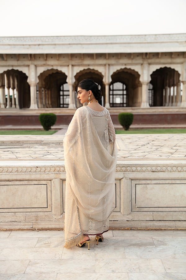 Pakistani Champagne Zari Net Salwar Kameez (3-Piece) - Image 5