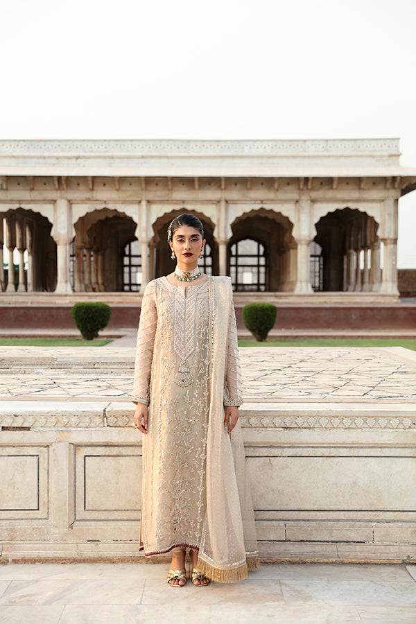 Pakistani Champagne Zari Net Salwar Kameez (3-Piece) - Image 6