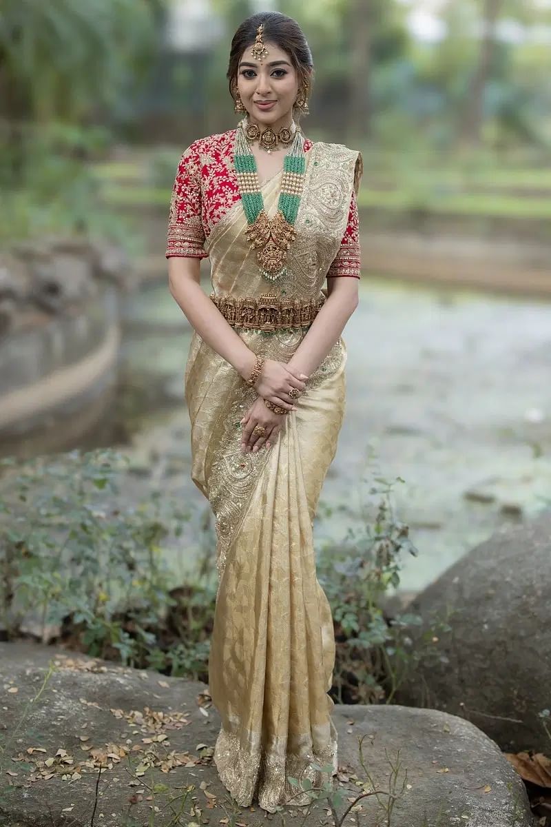 Gold Zari Woven Kanchipuram Tissue Saree (2-Piece) - Image 1