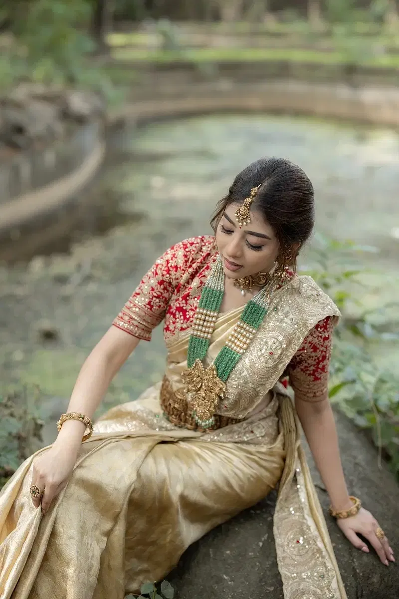 Gold Zari Woven Kanchipuram Tissue Saree (2-Piece) - Image 4