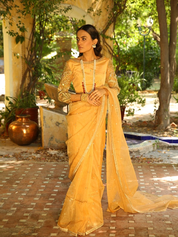 Pakistani Golden Embroidered Net Saree (2-Piece) - Image 1