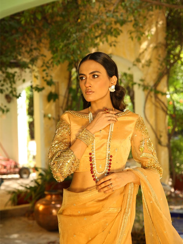 Pakistani Golden Embroidered Net Saree (2-Piece) - Image 2