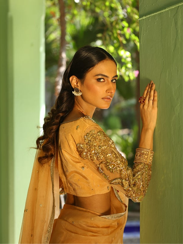 Pakistani Golden Embroidered Net Saree (2-Piece) - Image 4