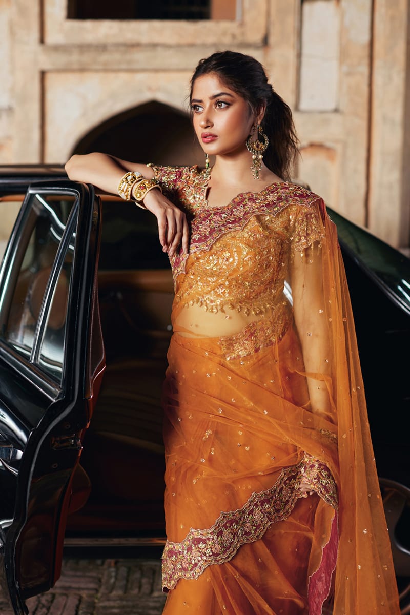 Pakistani Amber Gota Embroidered Net Saree (2-Piece) - Image 3