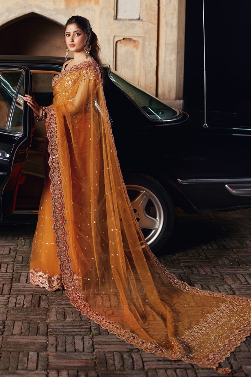 Pakistani Amber Gota Embroidered Net Saree (2-Piece) - Image 5