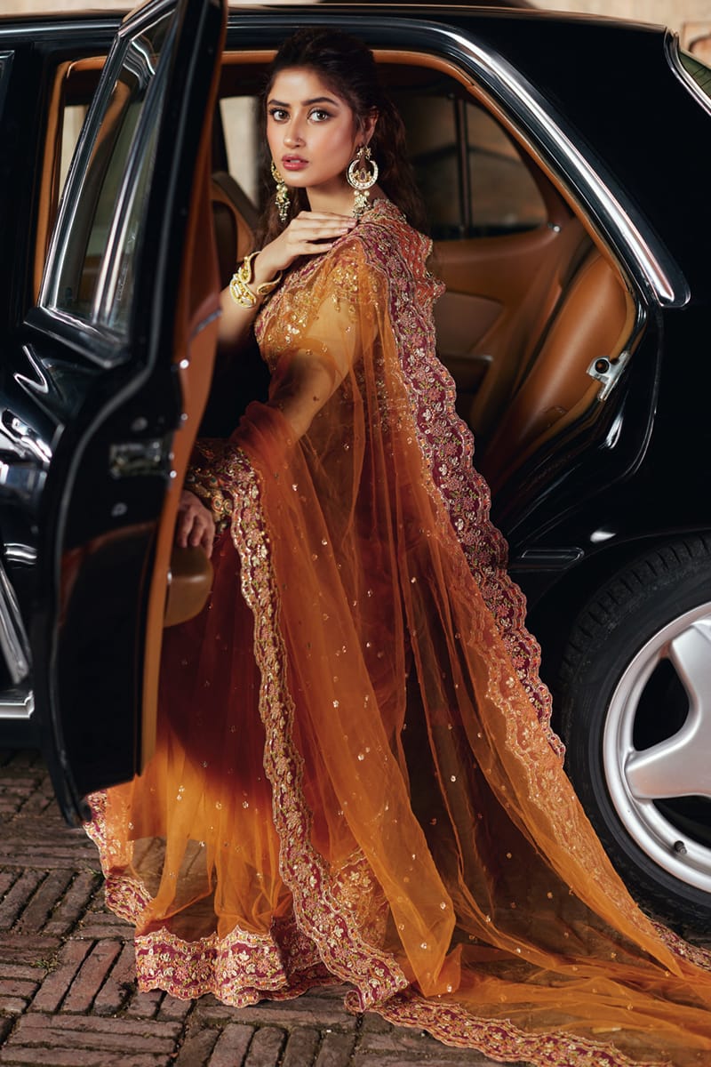 Pakistani Amber Gota Embroidered Net Saree (2-Piece) - Image 6