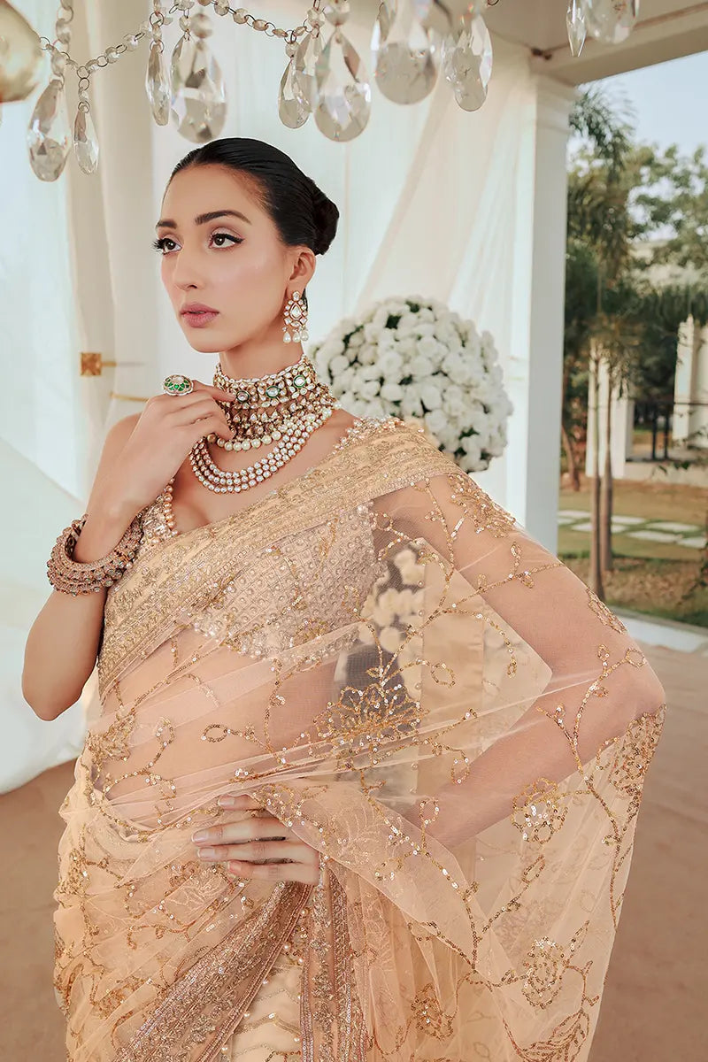 Pakistani Gold Embroidered Net Saree with Blouse (2-Piece) - Image 3