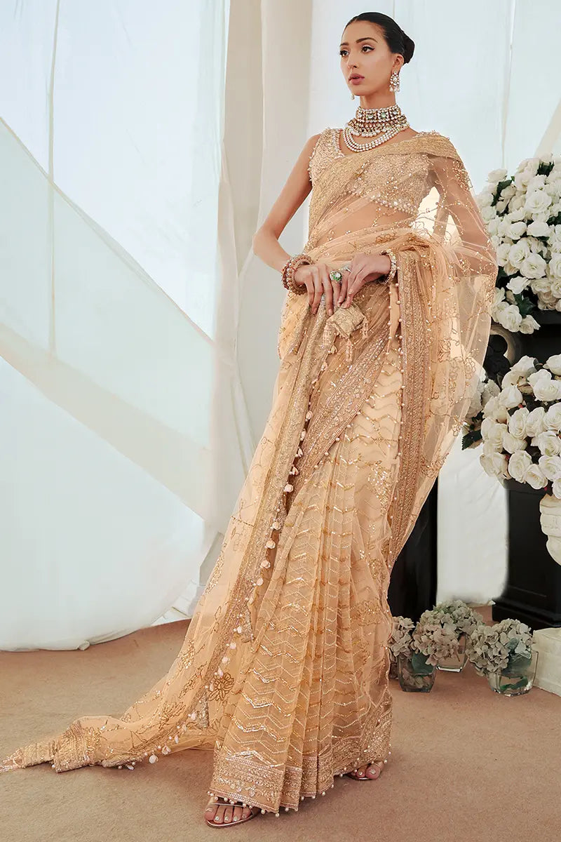 Pakistani Gold Embroidered Net Saree with Blouse (2-Piece) - Image 4