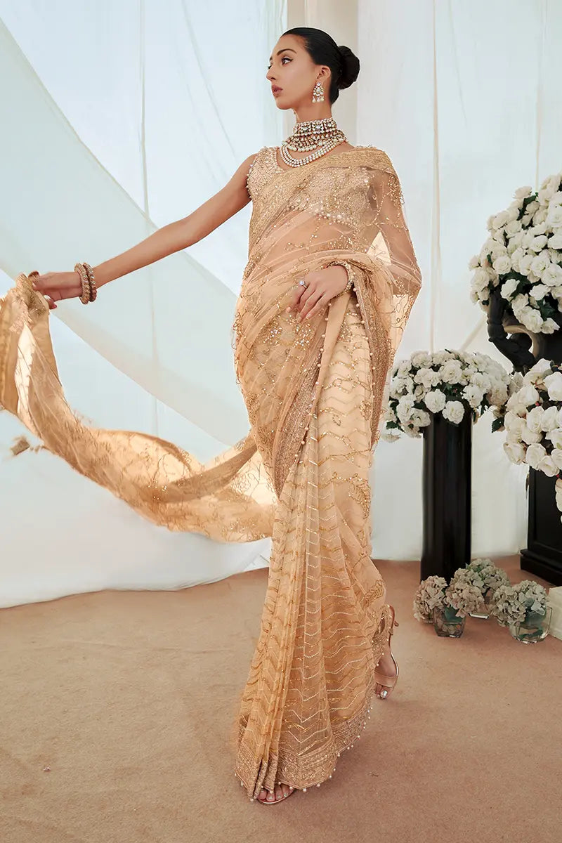 Pakistani Gold Embroidered Net Saree with Blouse (2-Piece) - Image 5