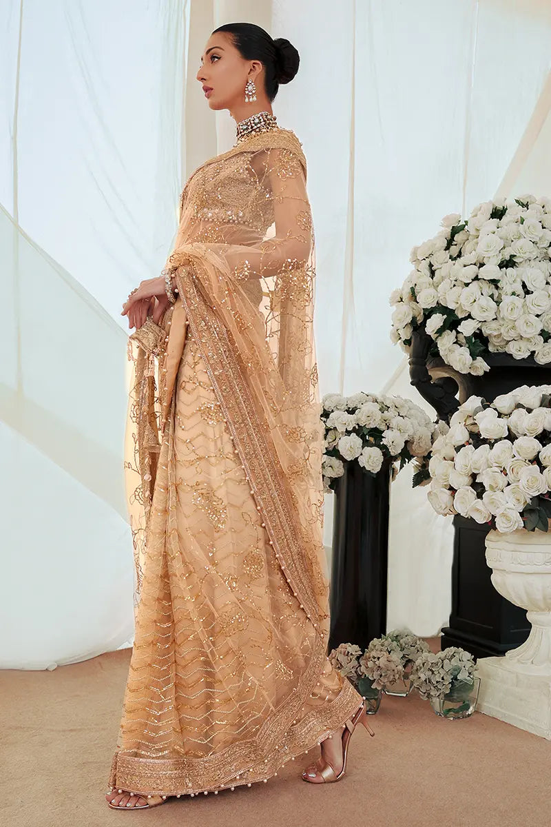 Pakistani Gold Embroidered Net Saree with Blouse (2-Piece) - Image 7