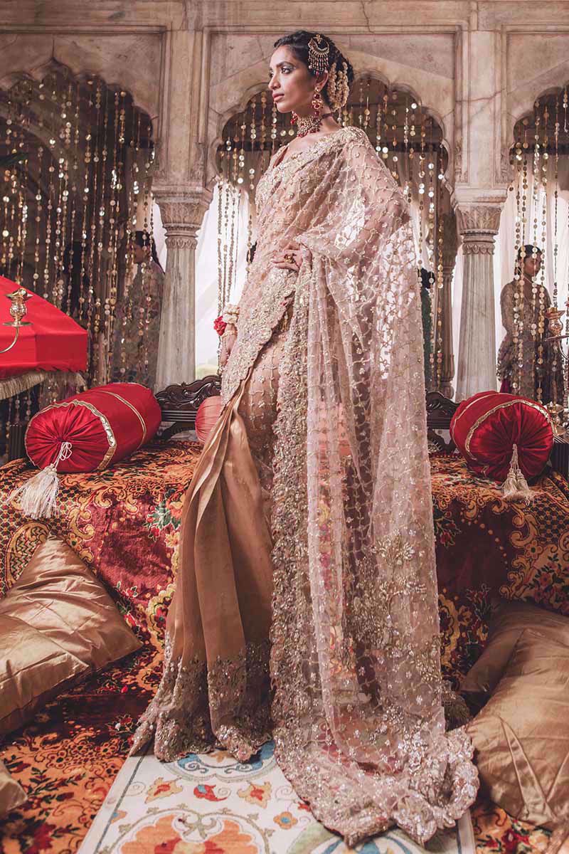 Pakistani Golden Embroidered Net Bridal Saree (2-Piece) - Image 1
