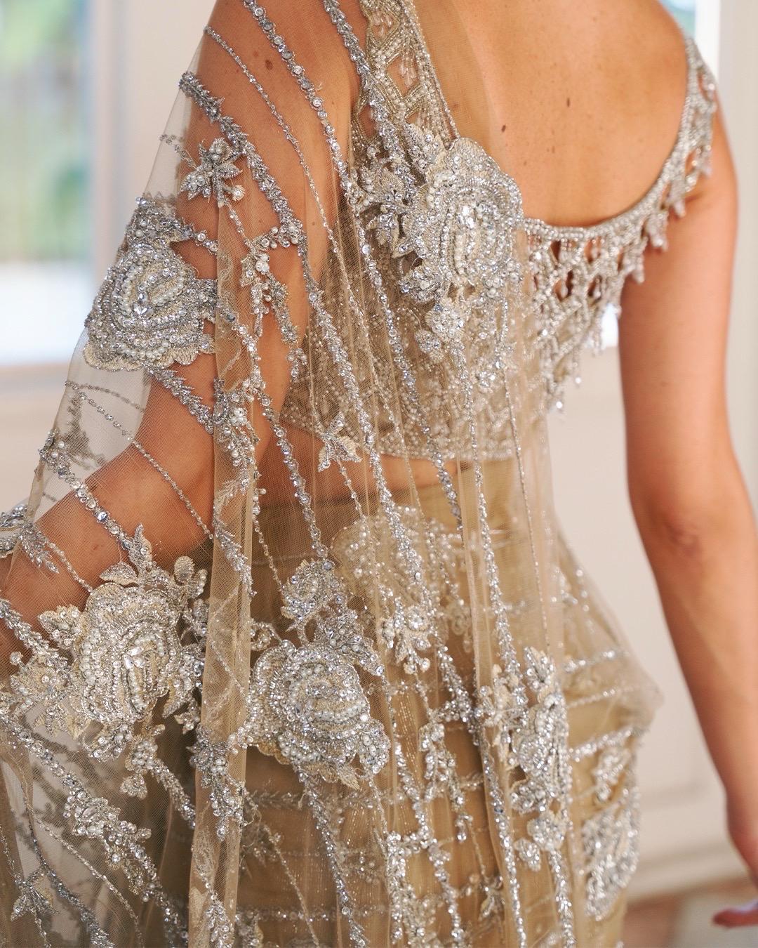 Pakistani Champagne Hand-Embellished Net Saree (2-Piece) - Image 4