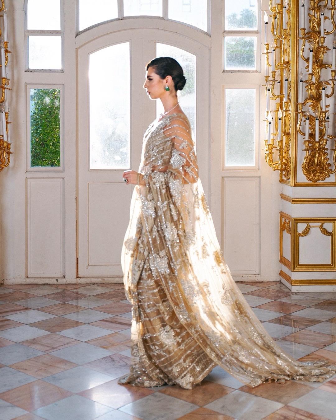 Pakistani Champagne Hand-Embellished Net Saree (2-Piece) - Image 5