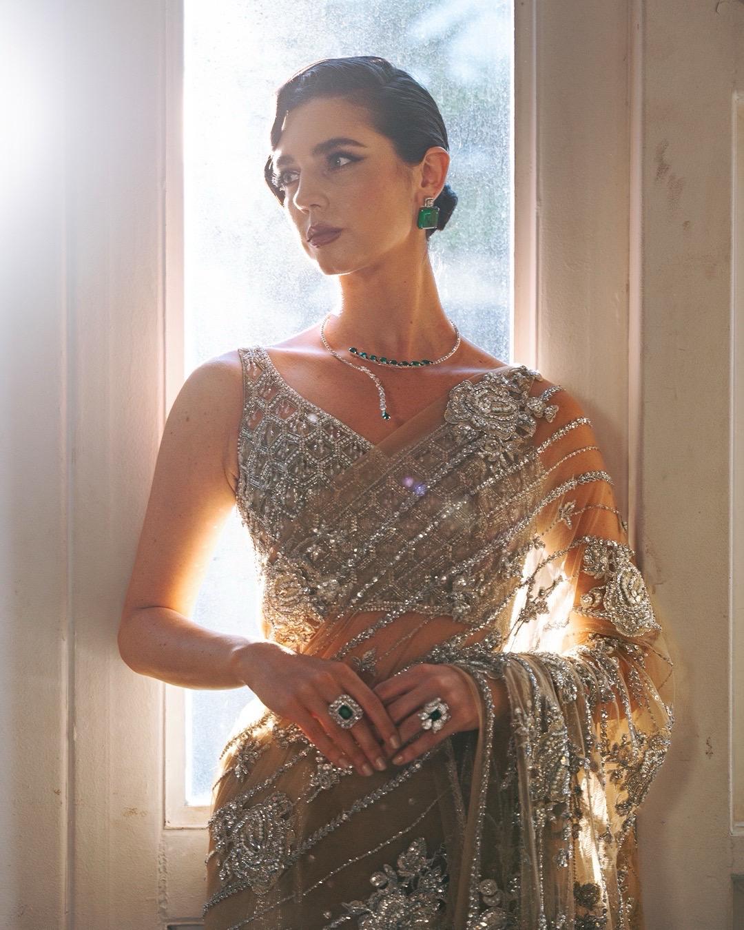 Pakistani Champagne Hand-Embellished Net Saree (2-Piece) - Image 9