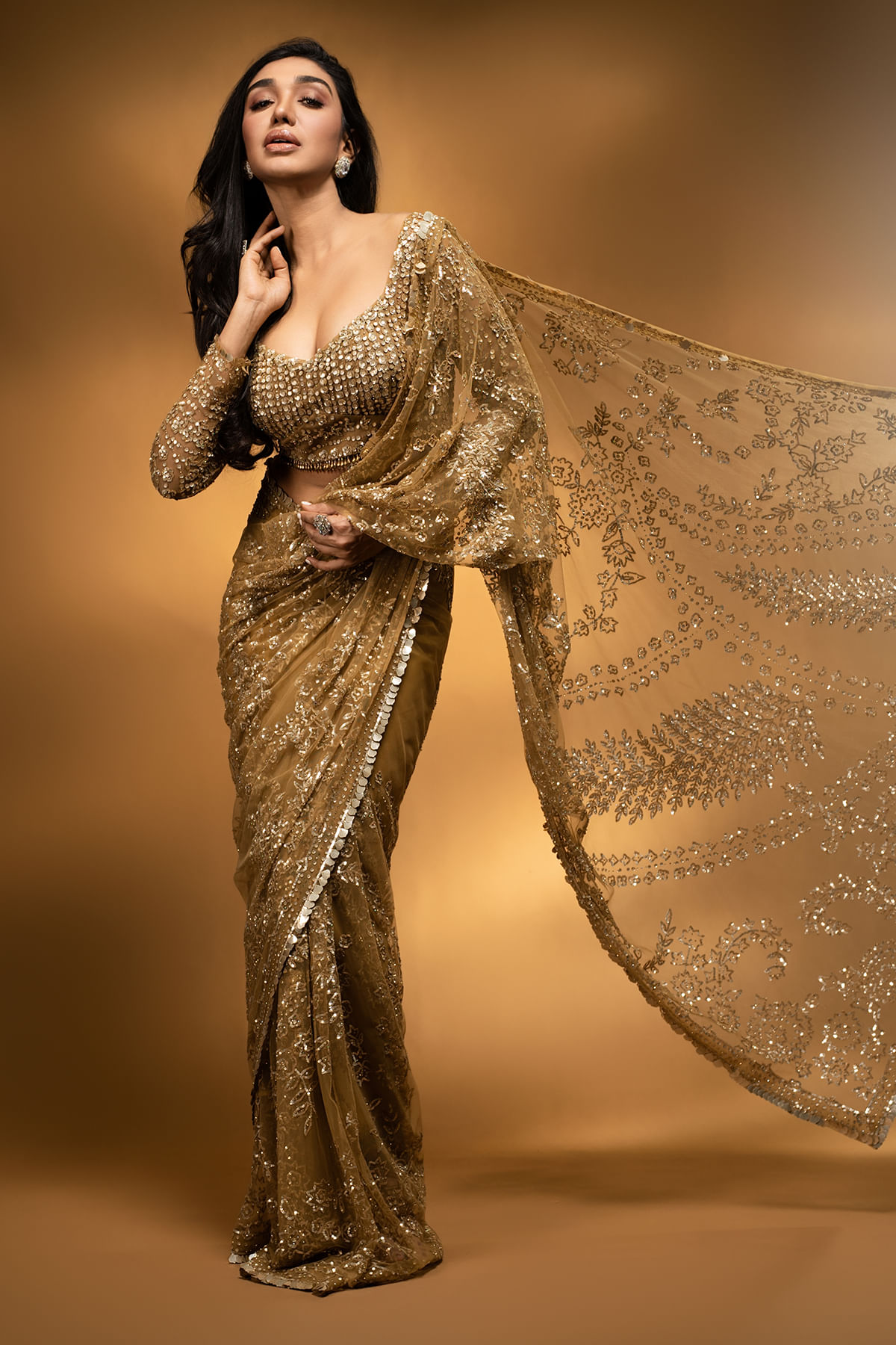 Antique Gold Sequined Net Saree (2-Piece) - Image 6