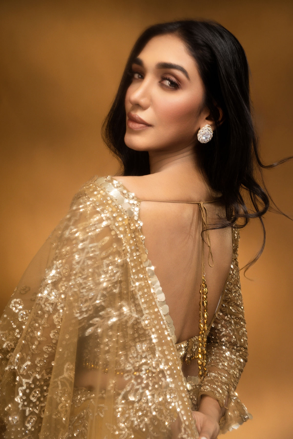 Antique Gold Sequined Net Saree (2-Piece) - Image 8