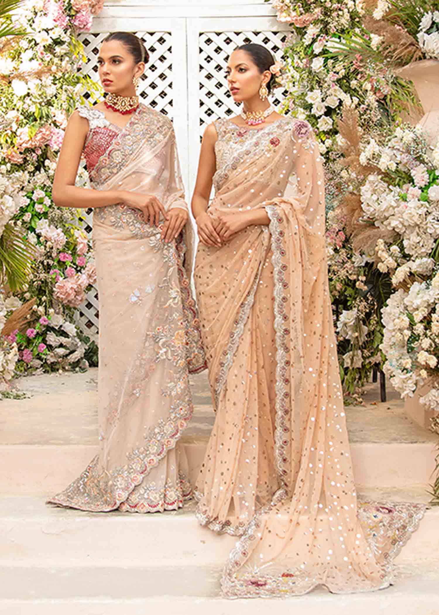 Pakistani Champagne Embroidered Net Saree (2-Piece) - Image 3