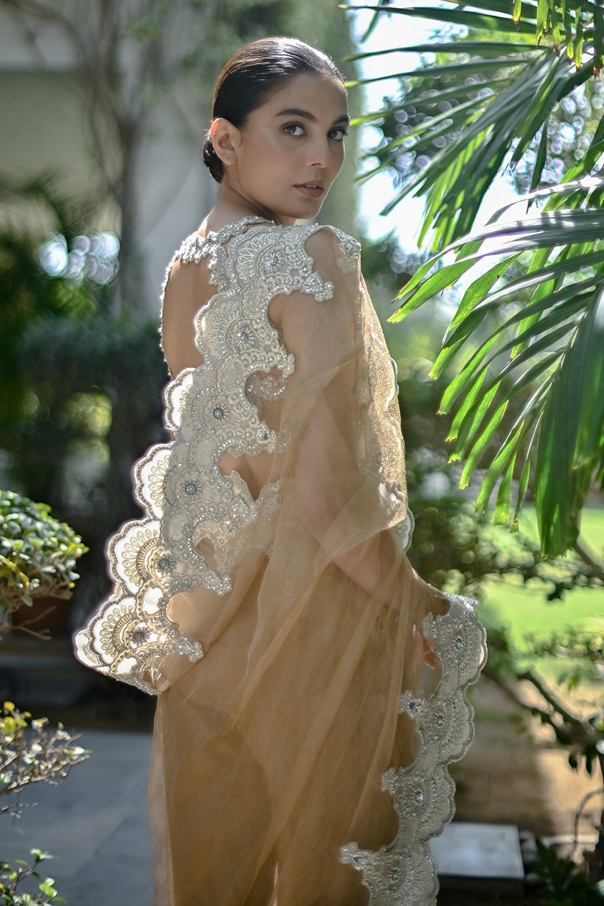 Pakistani Gold Beige Embroidered Zari Net Sari (2-Piece) - Image 5