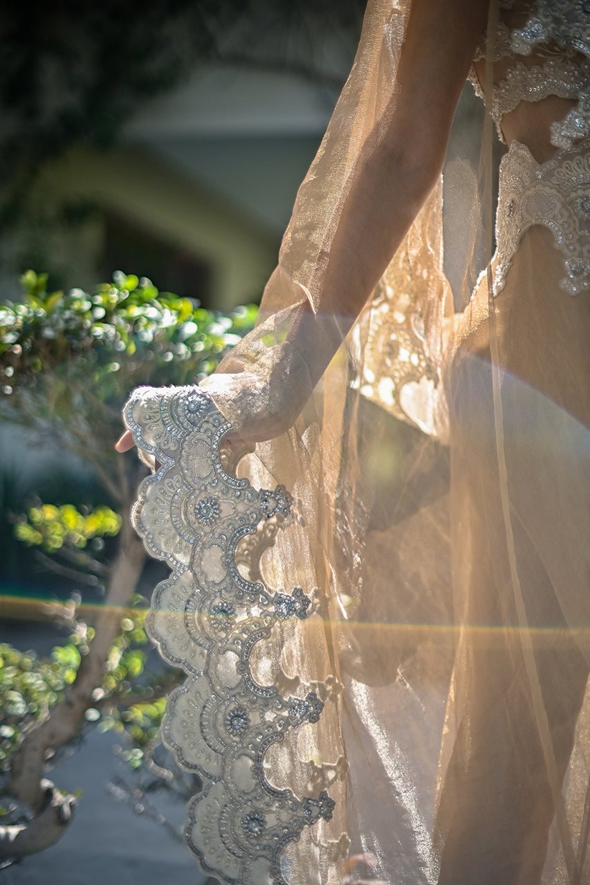 Pakistani Gold Beige Embroidered Zari Net Sari (2-Piece) - Image 6