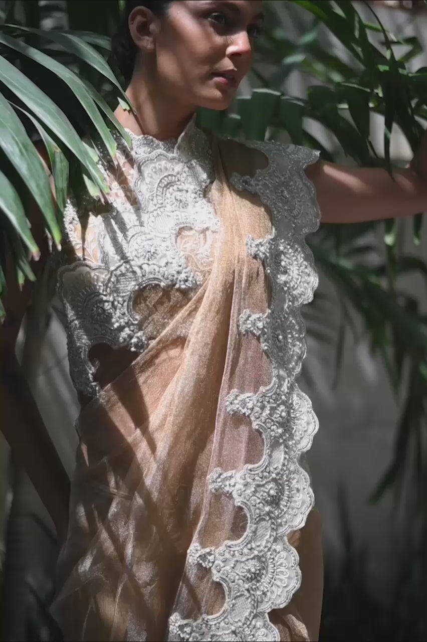 Pakistani Gold Beige Embroidered Zari Net Sari (2-Piece) - Image 8