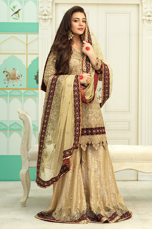 Pakistani Gold Zardozi Maysuri Net Sharara (3-Piece) - Image 2