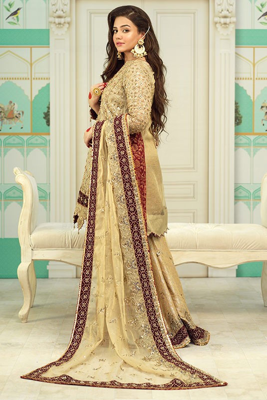 Pakistani Gold Zardozi Maysuri Net Sharara (3-Piece) - Image 3
