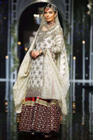 Dull Gold Embroidered Net Sharara Set (3-Piece) - Image 3